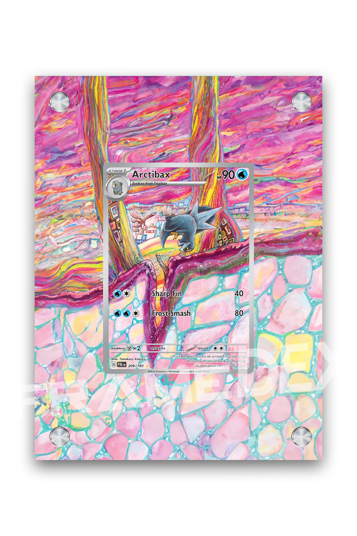 Arctibax | Evoluzioni a Paldea- Framedex
