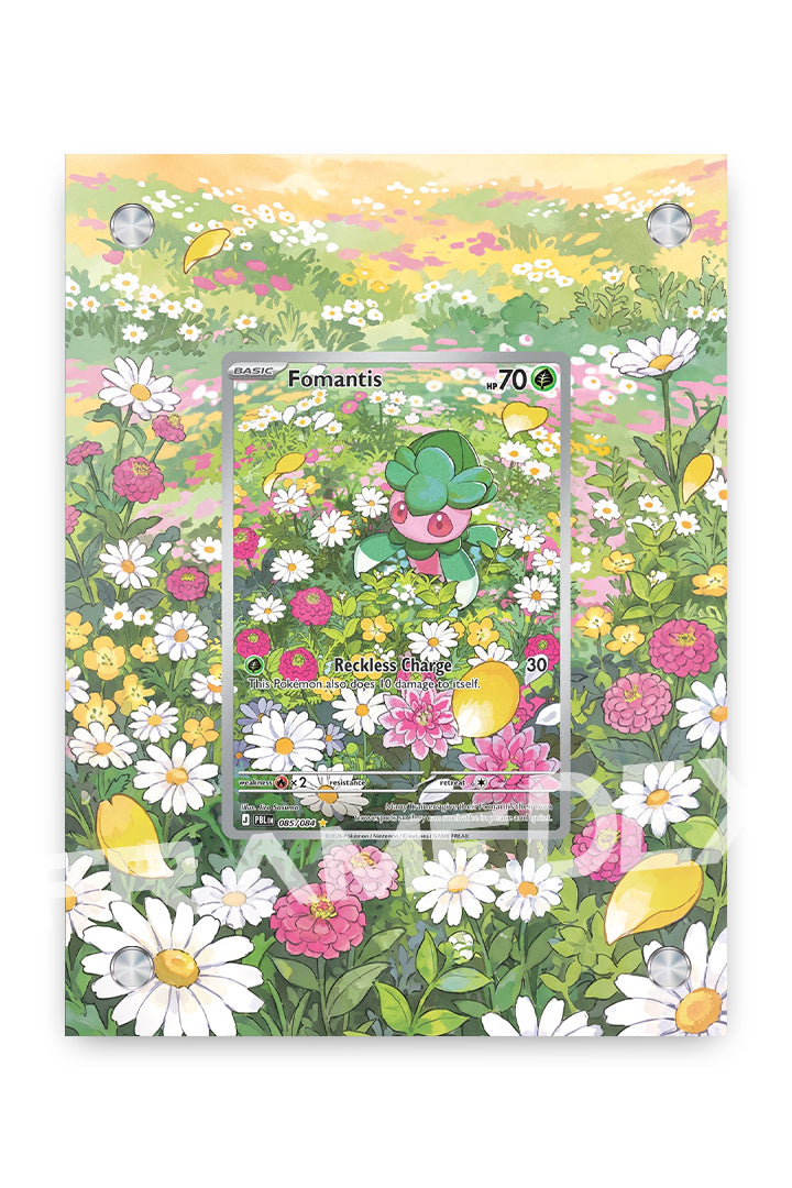 Fomantis | Buio Pesto - Framedex