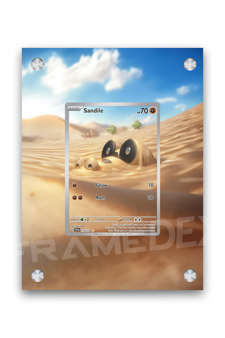 Sandile | Scarlatto e Violetto - Framedex