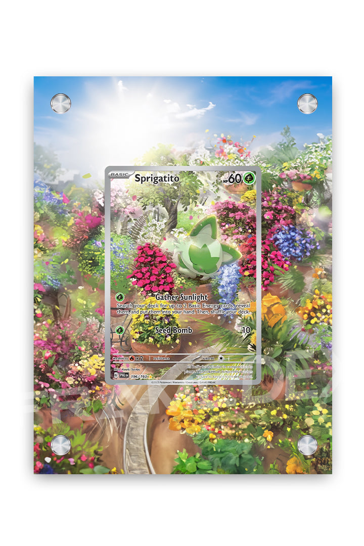 Sprigatito | Evoluzioni a Paldea - Framedex