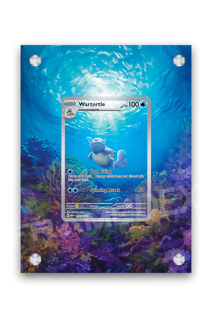 Wartortle | 151 - FrameDex