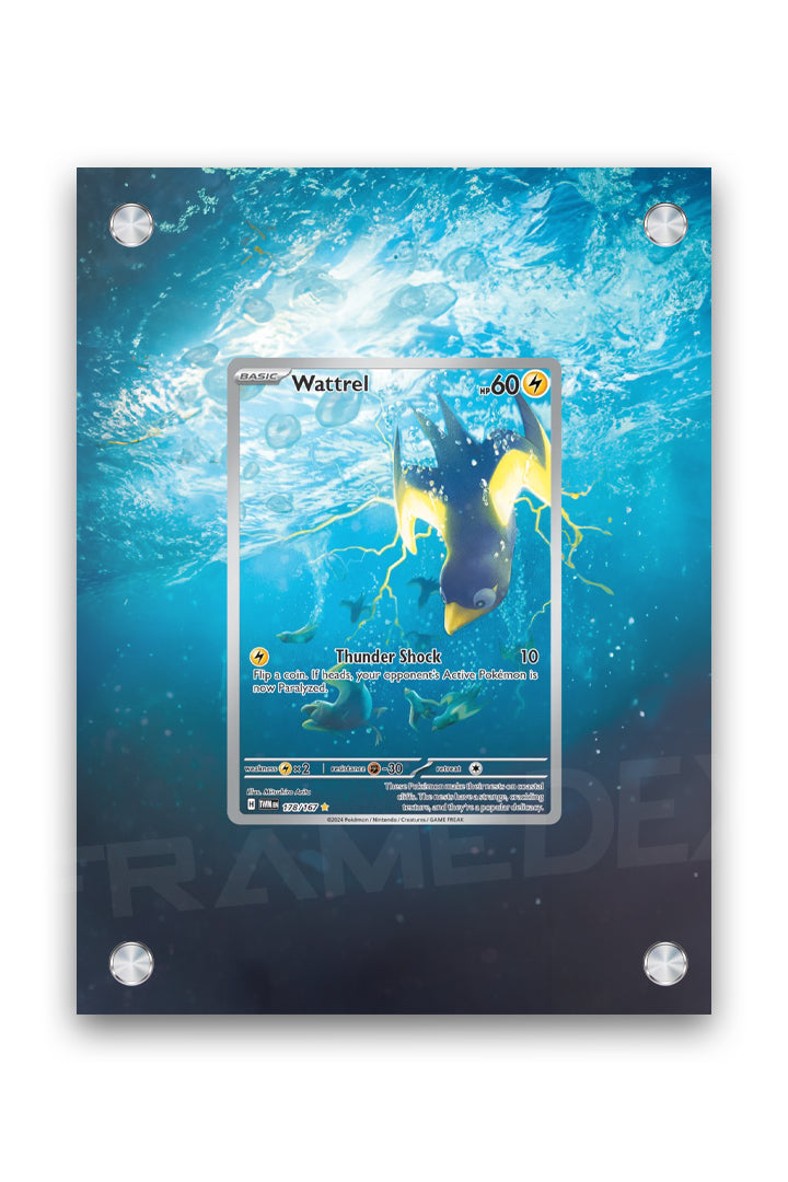 Wattrel Illustrazione Speciale | Crepuscolo Mascherato - Framedex