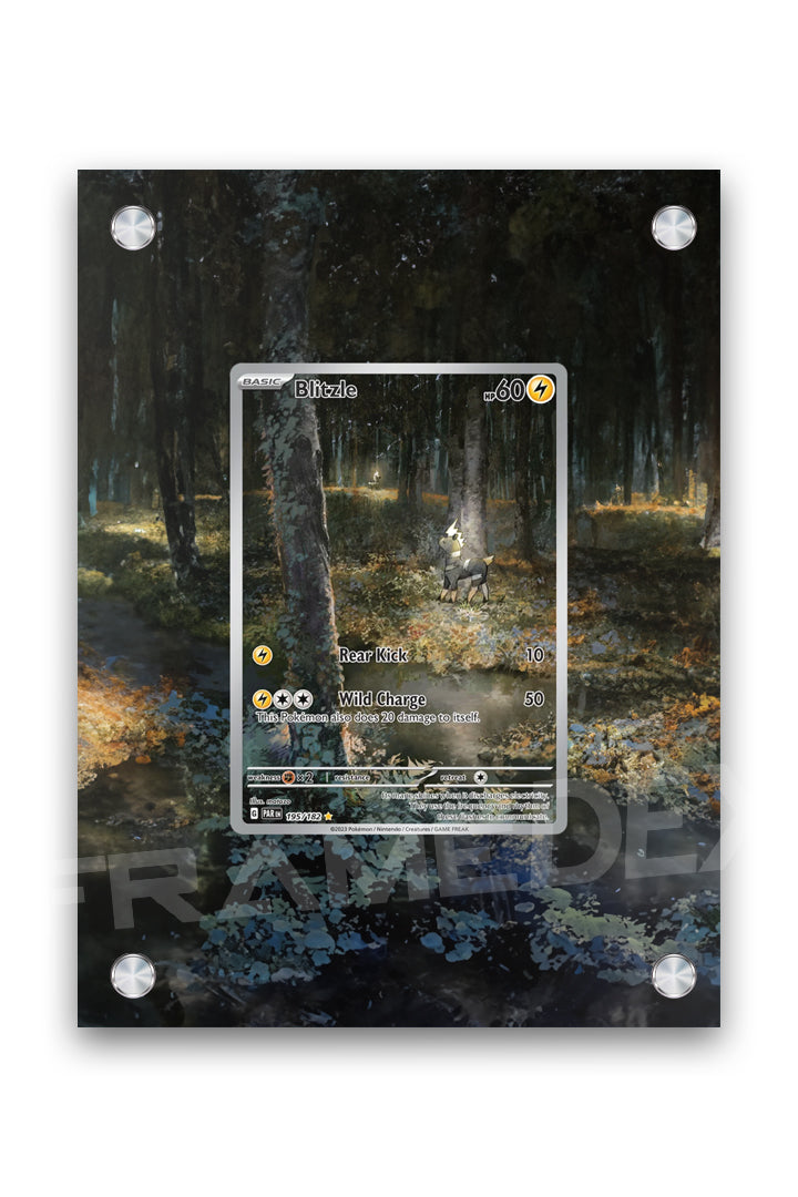 Blizzle | Paradosso Temporale - Framedex