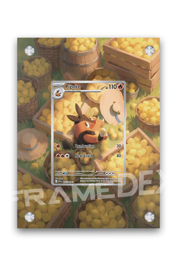 Pignite | Fiamma Bianca - Framedex