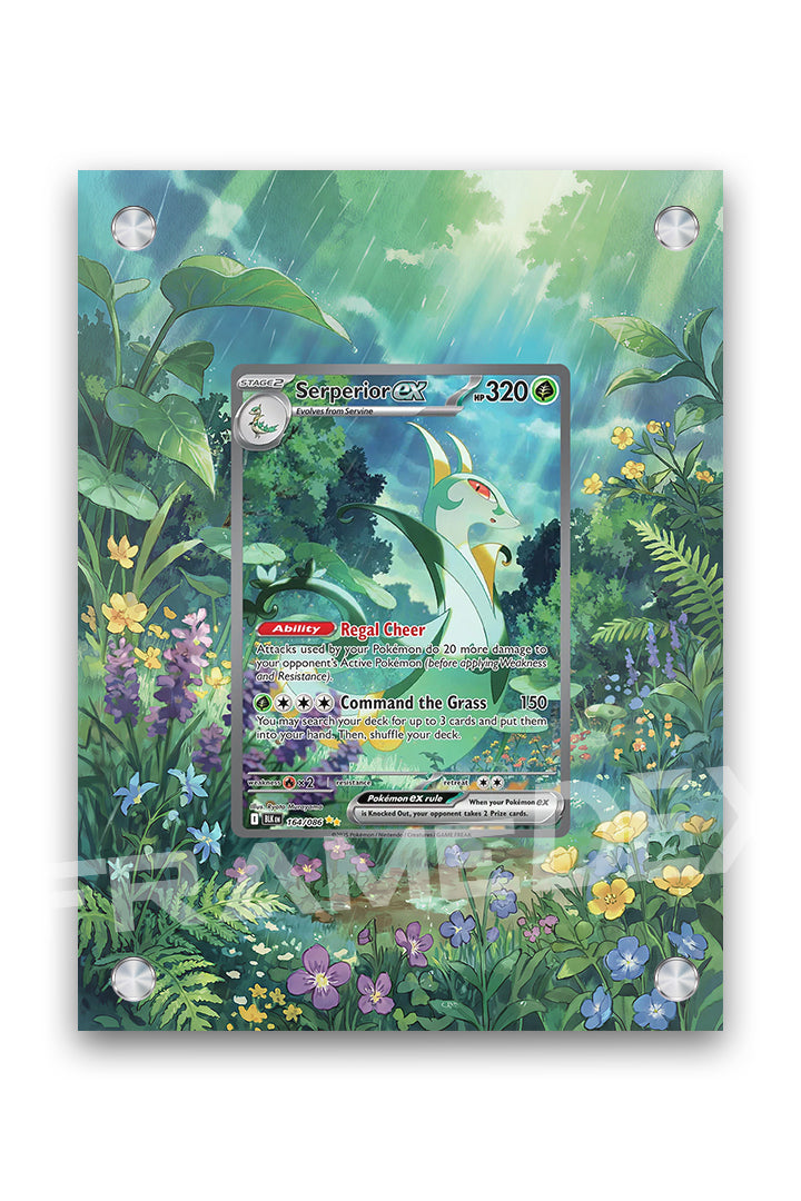 Serperior Ex | Luce Nera - Framedex
