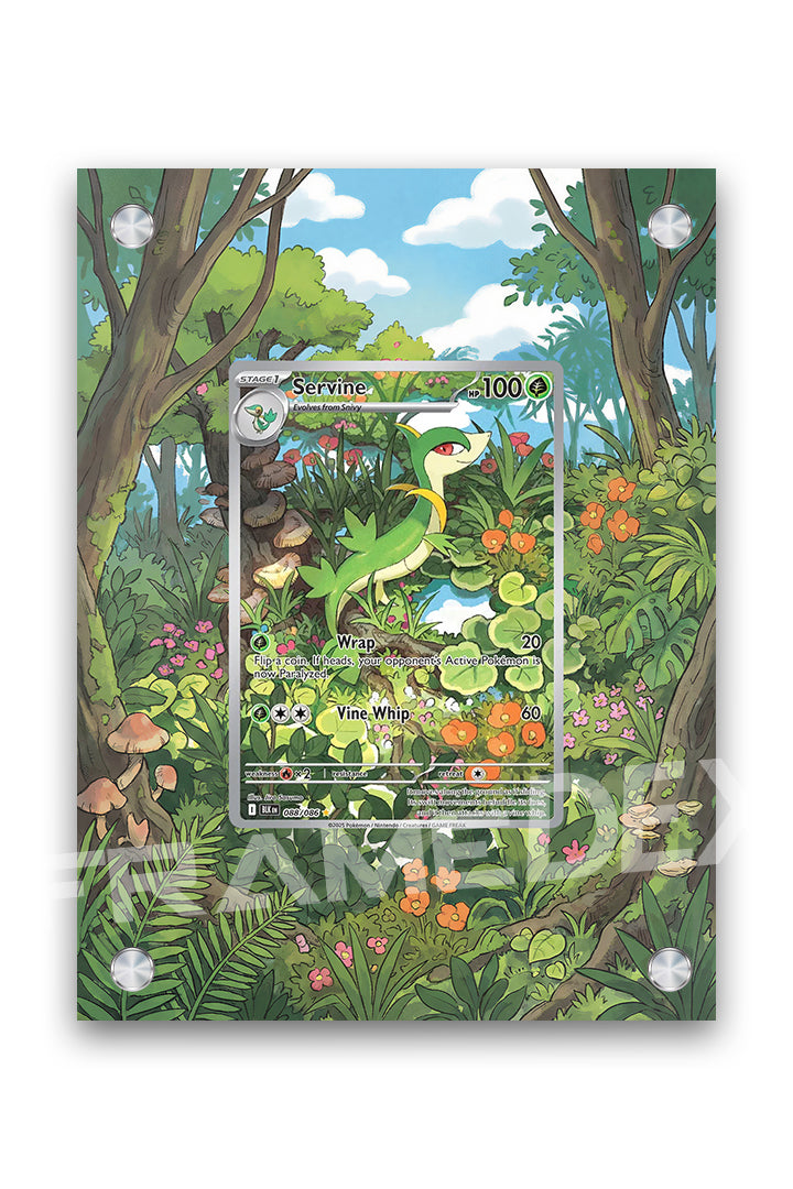 Servine | Luce Nera - Framedex