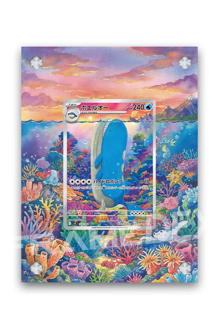 Wailord | Avventure Insieme - Framedex