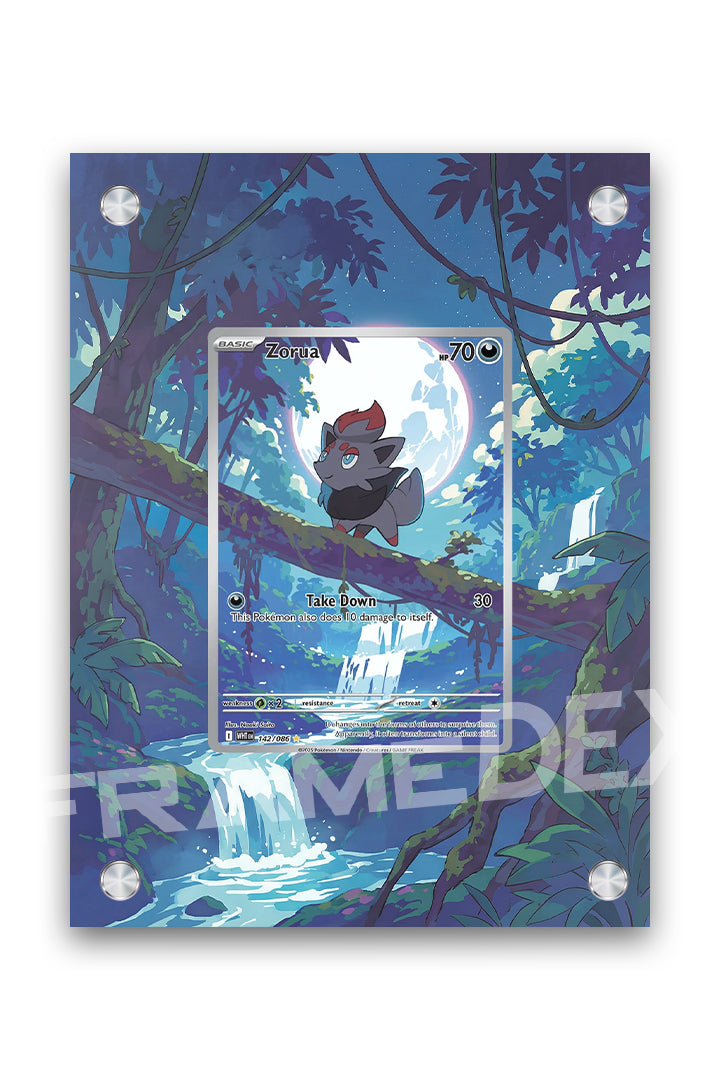 Zorua | Fiamma Bianca - Framedex